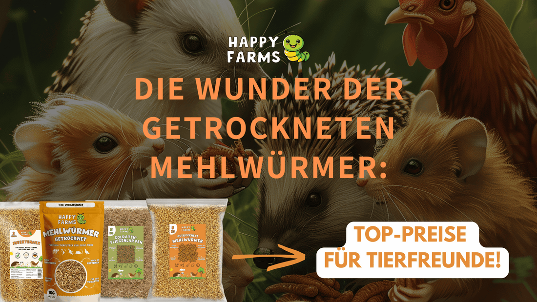 Die Wunder der getrockneten Mehlwürmer: Nährstoffreiche Snacks für Vögel, Igel, Raptilien