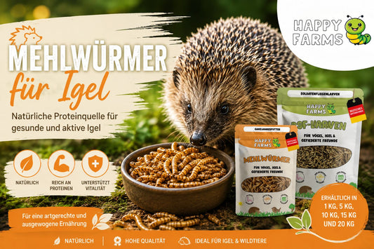 Mehlwürmer für Igel