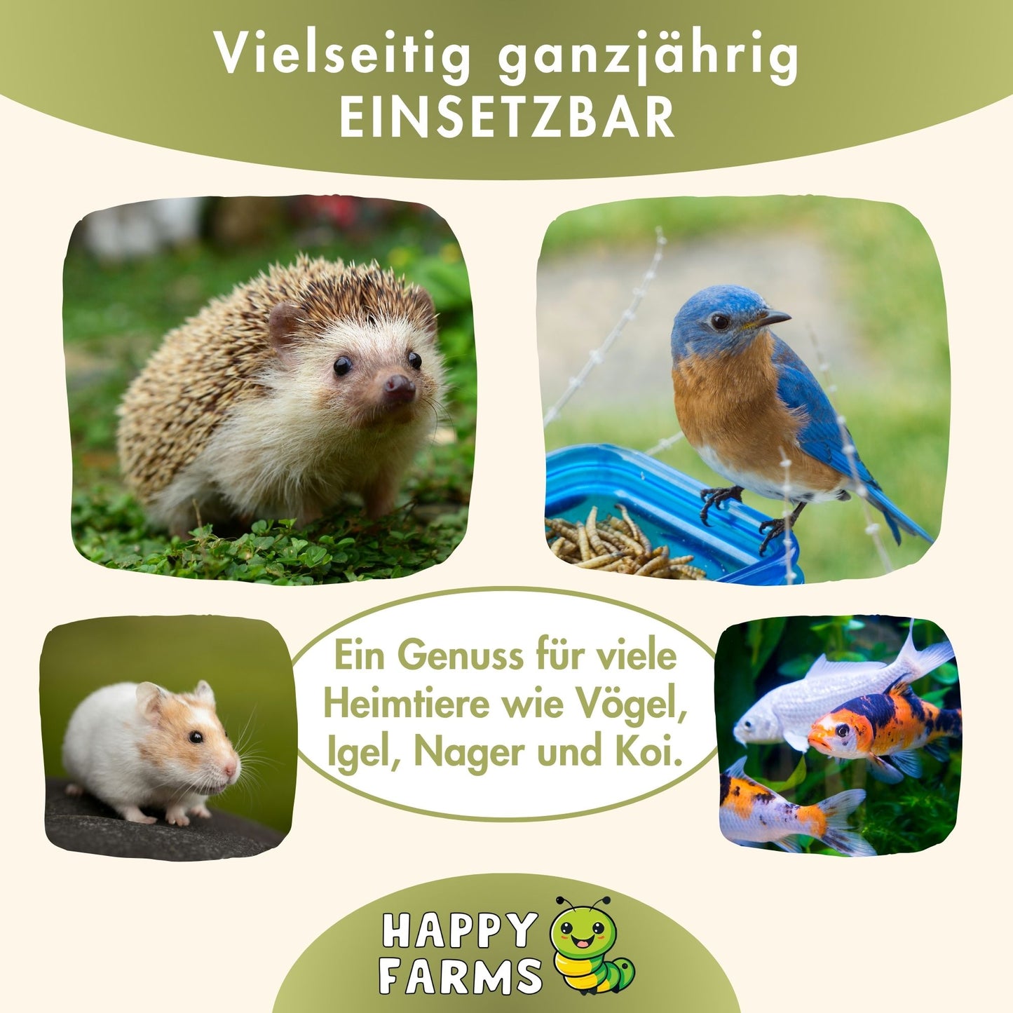 Soldatenfliegenlarven als natürliches Futter für Wildvögel & Reptilien