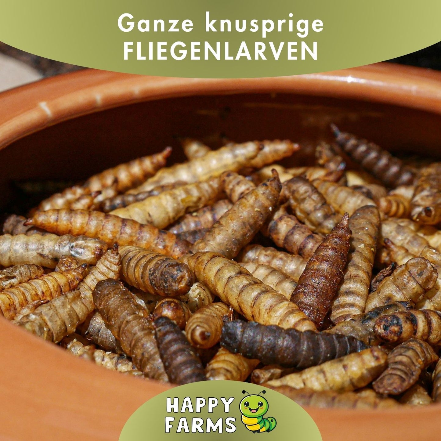Soldatenfliegenlarven kaufen – nachhaltiges Insektenfutter von Happy Farms
