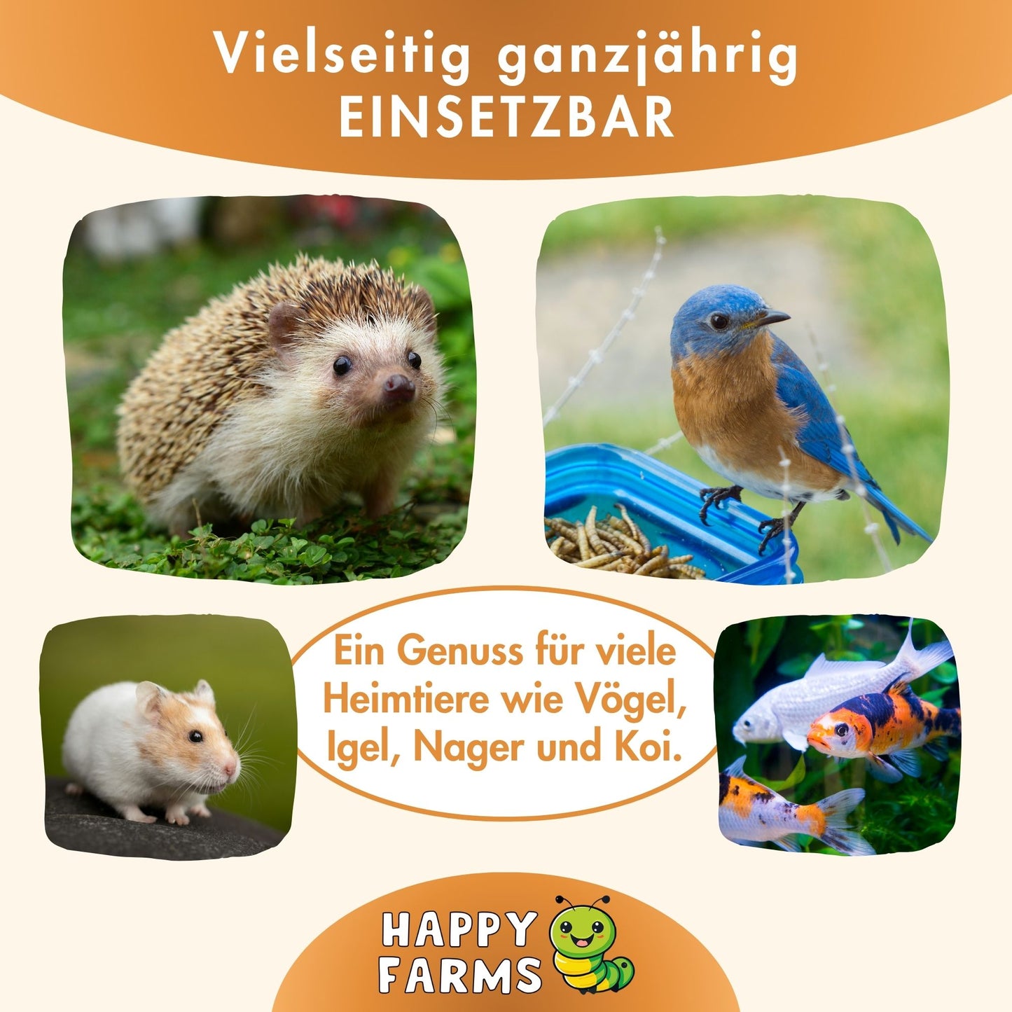 Proteinreiches Ergänzungsfutter – Happy Farms InsektenMix für Wildvögel, Reptilien und Kleintiere
